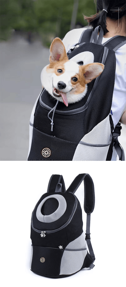 🔥2025 Summer Dog Backpack🐶